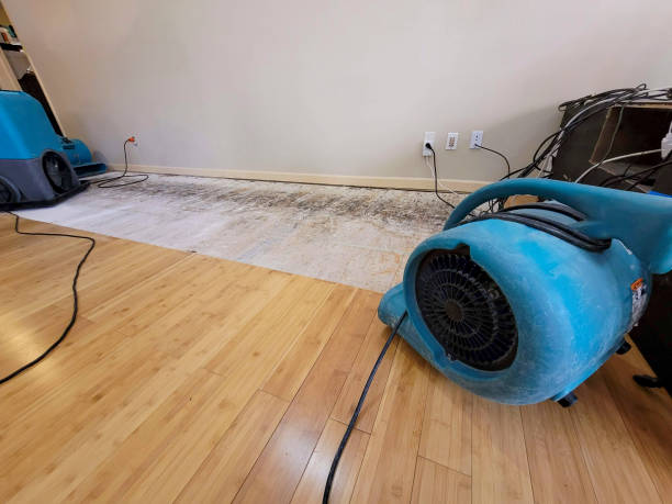 Professional Flood Damage Cleanup technician working in San Rafael, NM